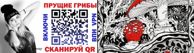 Галлюциногенные грибы GOLDEN TEACHER  Моршанск 